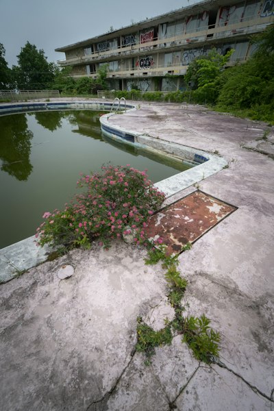 Overgrown pool and abandoned building with graffiti