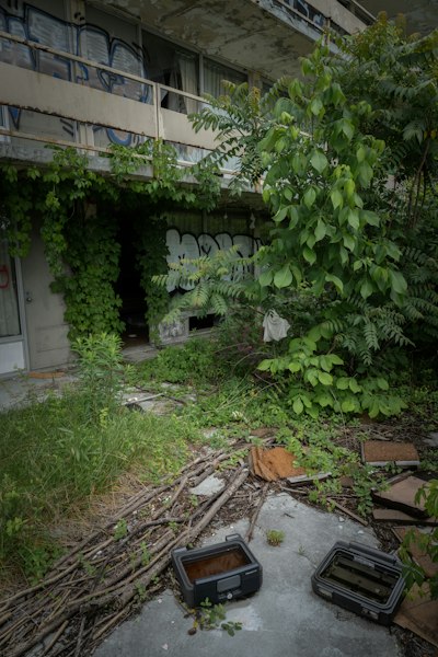 Abandoned building with overgrown plants, graffiti, and scattered debris