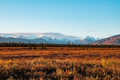 brown grass field near mountain under blue sky during daytime