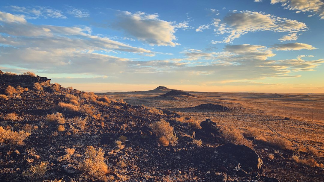 Albuquerque landscape