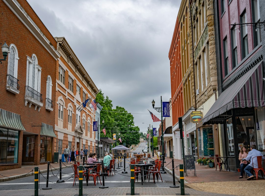 Alexandria landscape
