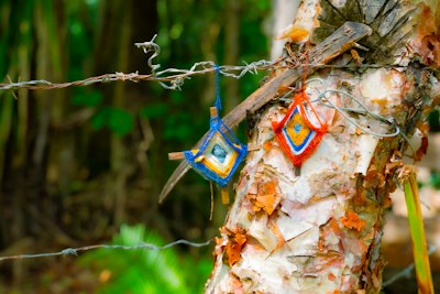 Two colorful yarn god's eyes hanging from a barbed wire fence on a tree