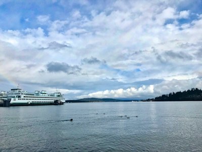 white cruise ship on sea under white clouds and blue sky during daytime