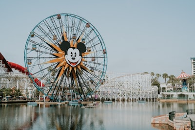 ferris wheel near body of water during daytime