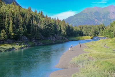A river running through a lush green forest