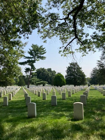 A cemetery with many headstones and trees in the background