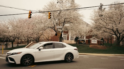A white car drives near blossoming trees