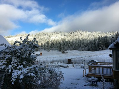 a snow covered field with trees and a fence