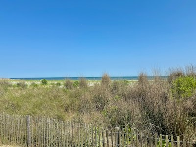 The beach and ocean under a clear blue sky