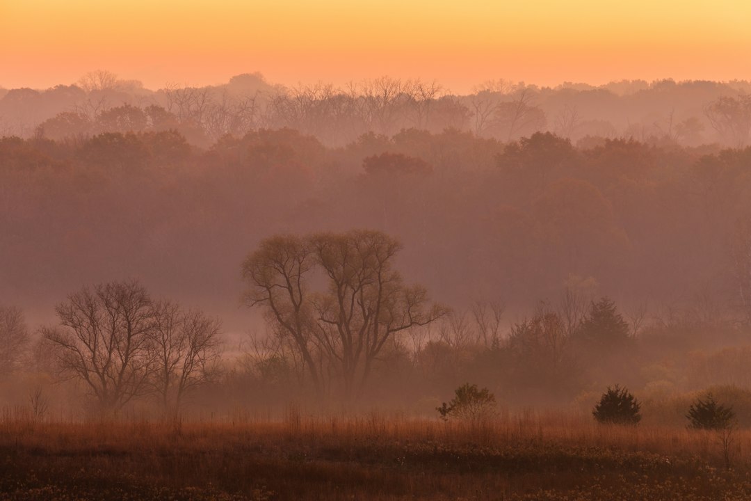 Baraboo landscape