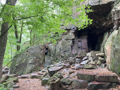a stone wall with trees and rocks