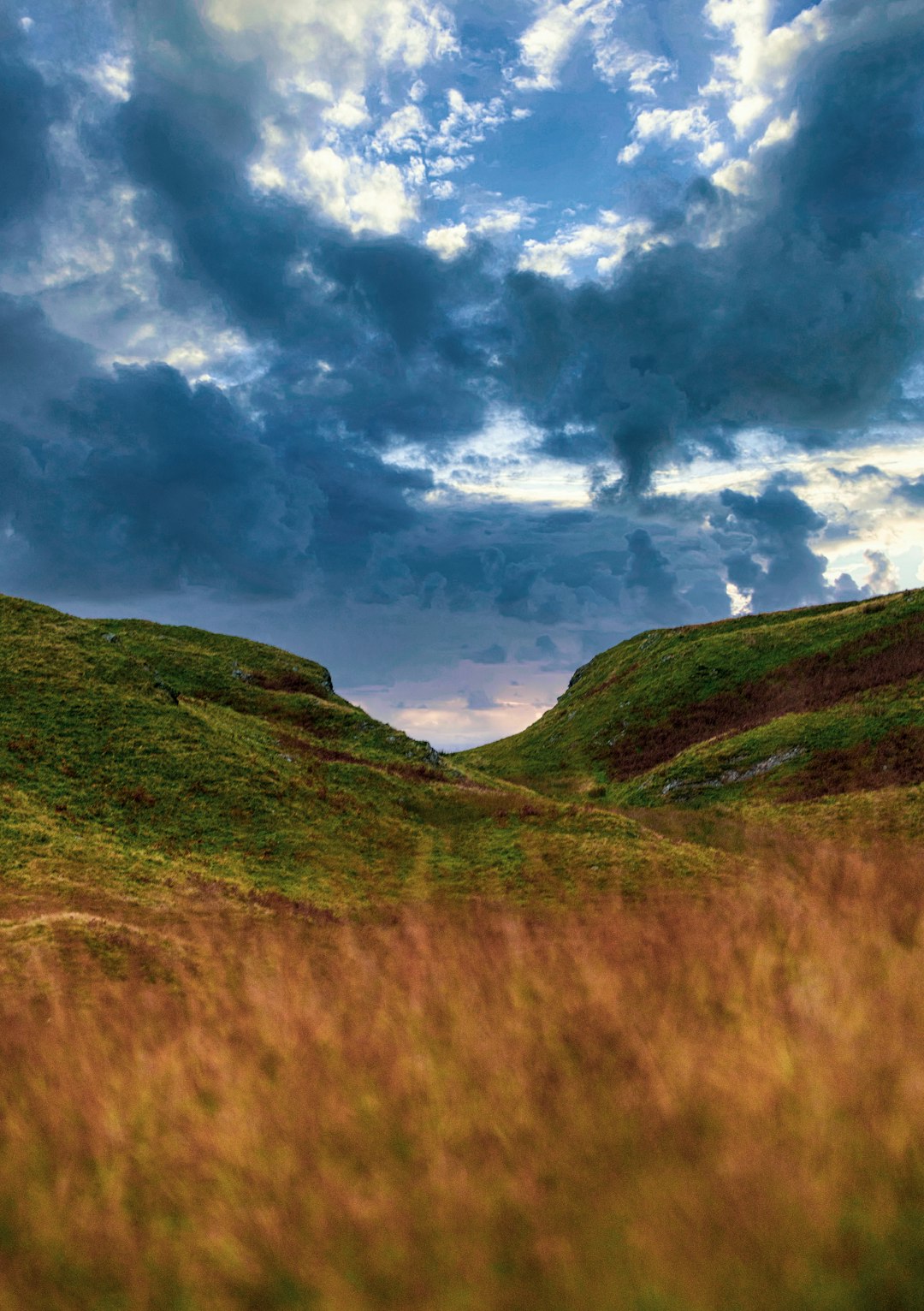 Benson landscape