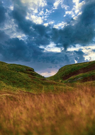 brown grass field under blue sky and white clouds during daytime