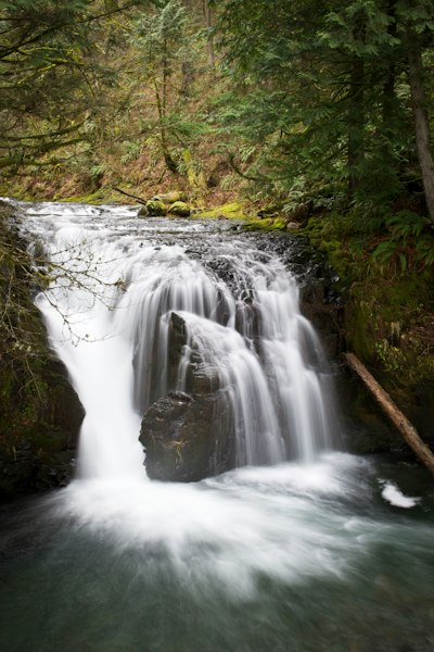 a small waterfall in the middle of a forest