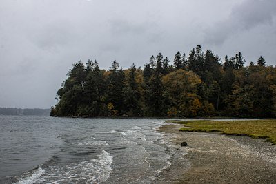A body of water with trees in the background