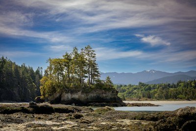 Rocky shoreline with trees on a small island