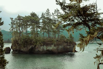 an island in the middle of a lake surrounded by trees