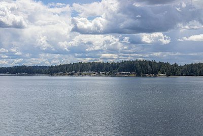 A large body of water surrounded by a forest