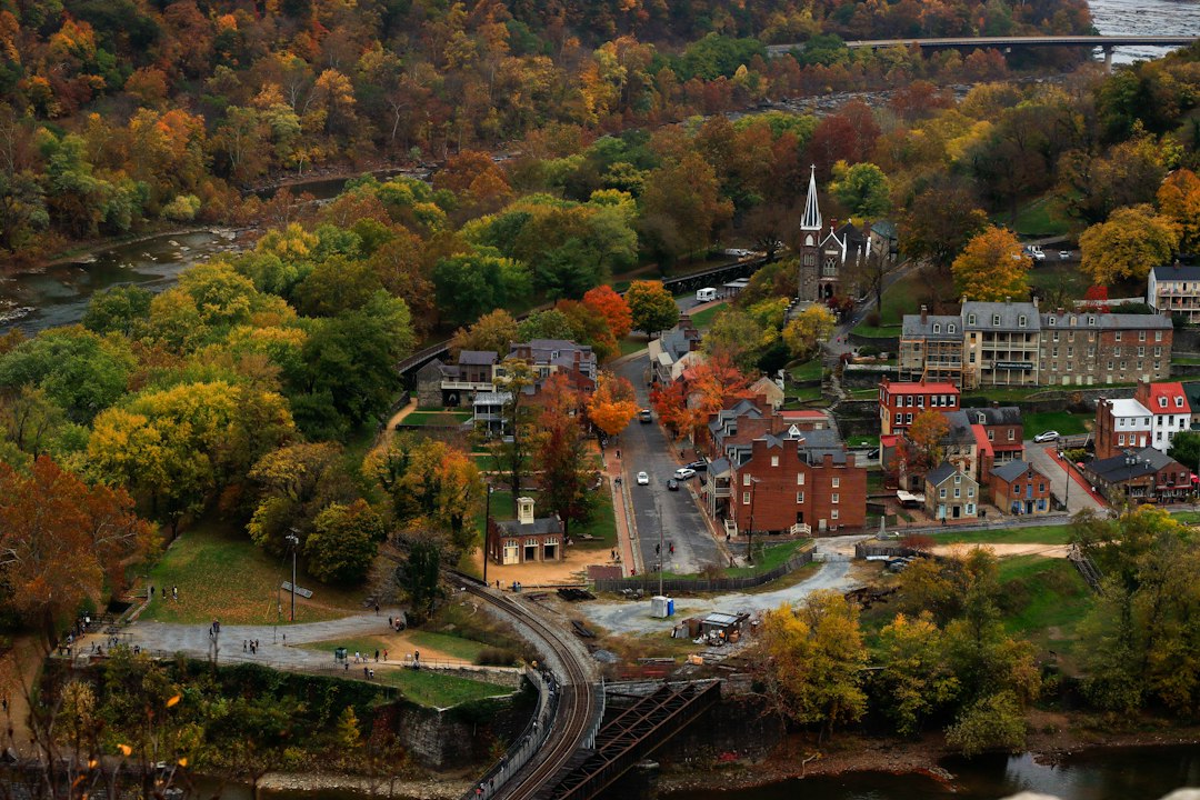 Bluefield landscape