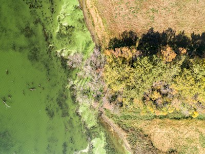 an aerial view of a body of water surrounded by trees