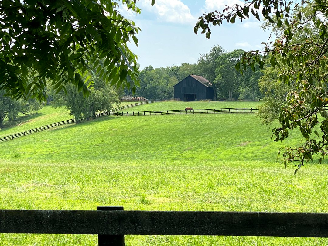 Brooks landscape