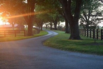 A winding road with trees during sunset