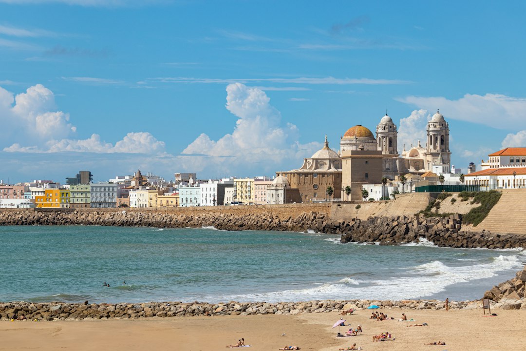 Cadiz landscape