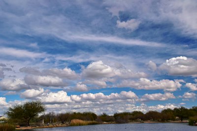 a body of water surrounded by trees and clouds