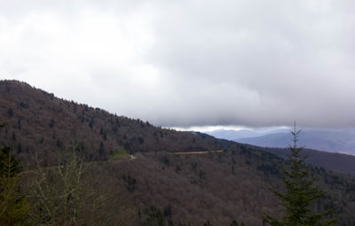 a scenic view of a mountain with trees on the side