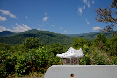 A white sneaker on a wooden post against a backdrop of green mountains