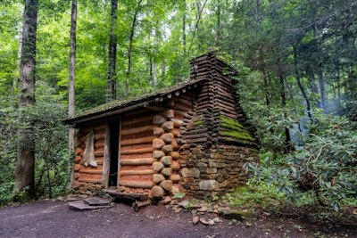 A log cabin in the middle of a forest