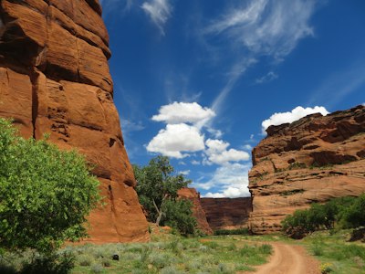 a dirt road in the middle of a canyon