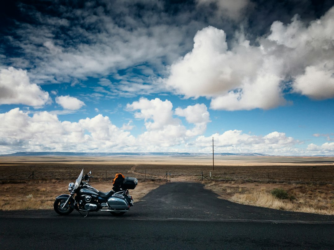 Chinle landscape
