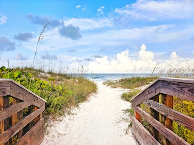 gray wooden bridge near sea