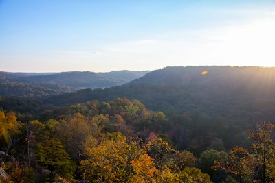 green trees on mountain during daytime