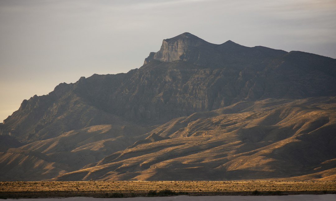 Delta landscape