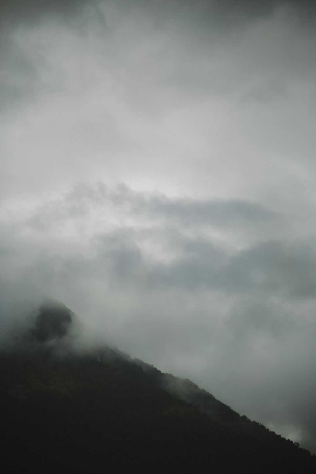 Douglas landscape
