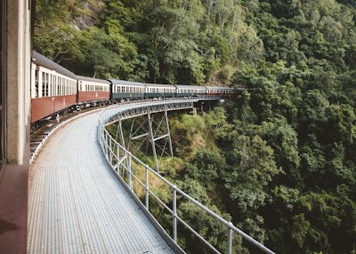 photo of brown, green, and white train near green leaf trees