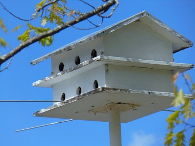 A multi-tiered white birdhouse against a blue sky