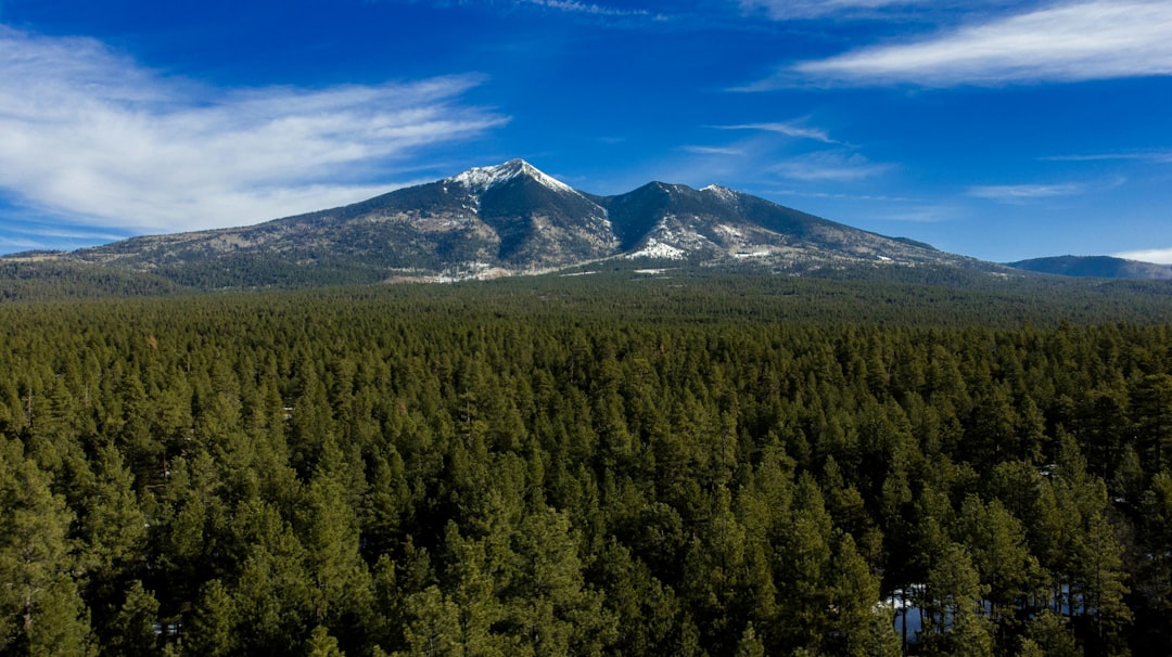 Flagstaff landscape