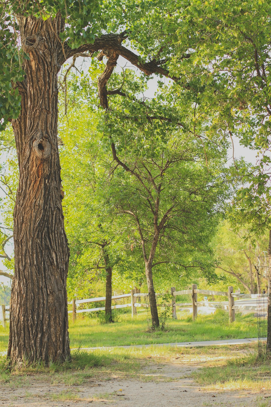 Garden City landscape