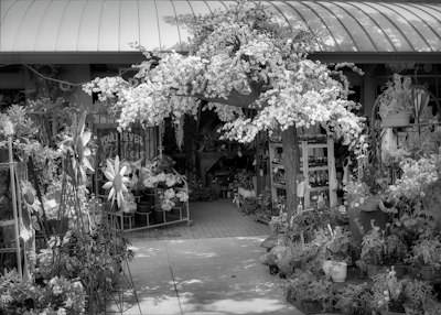 a black and white photo of a flower shop