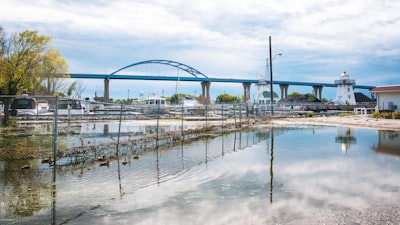 people walking on beach near bridge during daytime