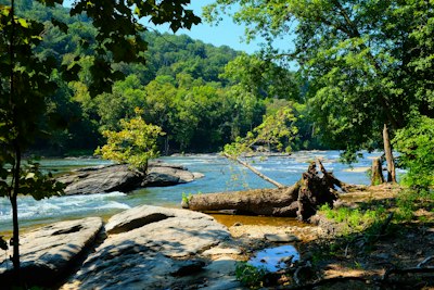 a river with rocks and trees