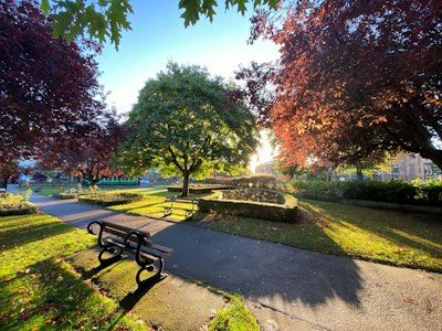 a park bench sitting in the middle of a park