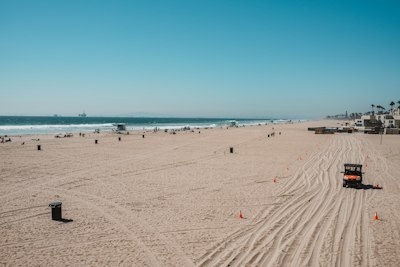a sandy beach with a line of trees on it