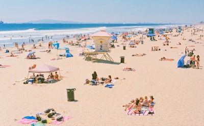 people on beach during daytime