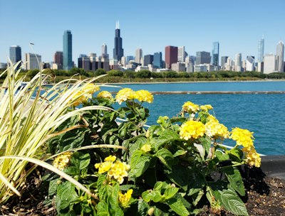 a view of a city from across the water