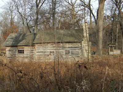 brown bare trees near brown wooden house during daytime