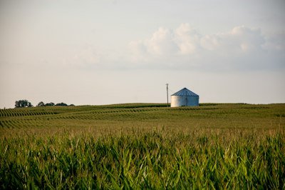 white building on plant field during day